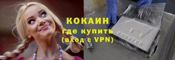 бошки Бородино