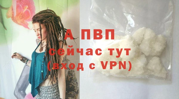 бошки Бородино