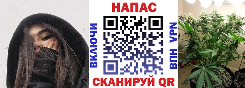 Бошки Шишки конопля Дзержинск